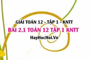 Giải 2.1 Toán 12 tập 1 SGK Kết nối tri thức